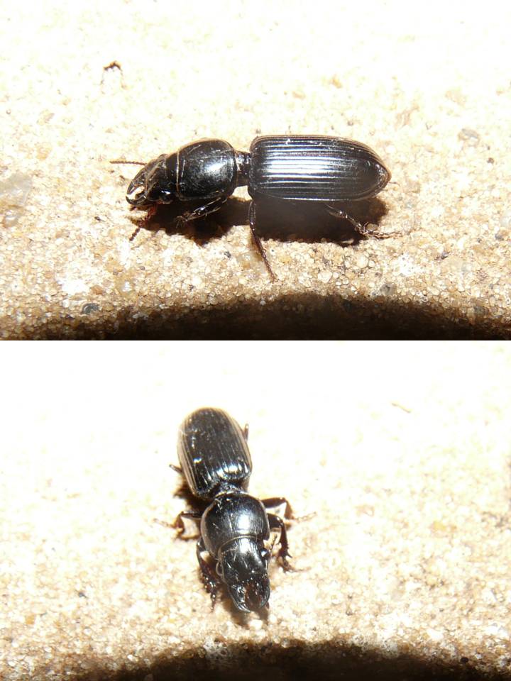 FIGURE 9 FIGURE 9